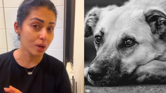 8 மாசத்துல கொல்லப்போறாங்க.. இந்த தீர்ப்பு கொடுத்ததுக்கு வெட்கப்படுங்க.. சதா கண்ணீர் வீடியோ!