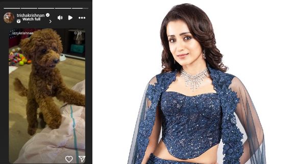 Trisha: த்ரிஷாவின் இன்ஸ்டா ஸ்டோரியைப் பார்த்தீங்களா.. ஒரே லொள்ளா இருக்கேப்பா!