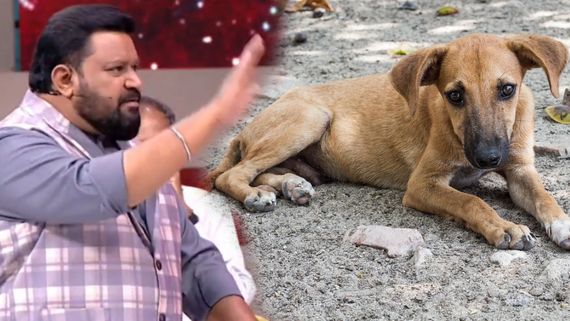 கடைசியாக தெருநாய் கடித்து எந்த பணக்கார வீட்டு குழந்தை இறந்தது? நீயா நானாவில் ஃபயர் விட்ட கோபிநாத்!