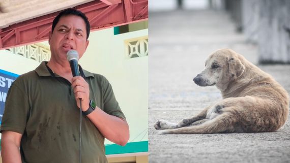  நாய்களை கொல்லச் சொல்லல.. அதுக்காக மனித உயிர்களை பலிகொடுக்க முடியாது.. ஜேம்ஸ் வசந்தன் ஓபன்!