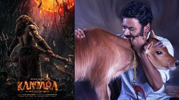 இட்லி கடையை சுத்தமா கழுவி வச்சிட்டாங்க.. தமிழ்நாட்டிலேயே தனுஷ் படம் டோட்டல் வாஷ் அவுட்?.. காந்தாரா?