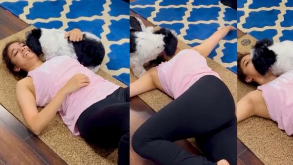 புருஷனுக்கு கோபம் வராதா?.. ஒரு இடம் விடல.. கீர்த்தி சுரேஷை பாடாய்ப்படுத்தும் செல்ல நாய்க்குட்டி!