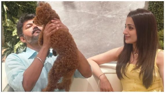 விஜய் வீட்டை தொடர்ந்து த்ரிஷா வீட்டுக்கும் வெடிகுண்டு மிரட்டல்.. பதறிப்போன நடிகை!