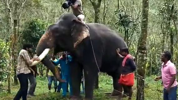 Kumki 2: கும்கி 2 படப்பிடிப்பில் கதாநாயகனை முட்டி தள்ளிய யானை.. ஜெஸ்ட் மிஸ்ஸில் தப்பிய உயிர்!