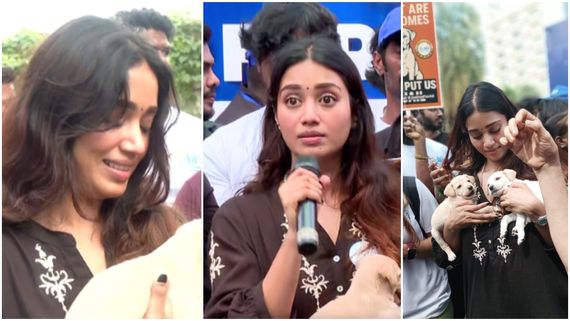 தெருநாய்கள் பாவம்.. மனுஷங்க மட்டும் தான் வாழணுமா? அட்ஜெஸ்ட் பண்ணி இருங்க.. நிவேதா பெத்துராஜ்!