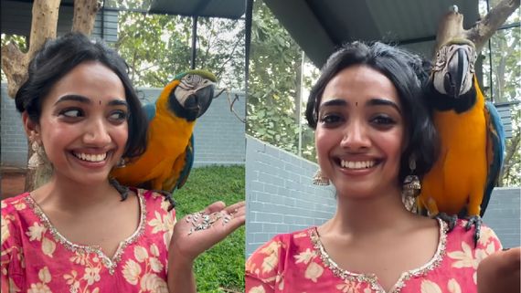 Saanve Megghana: ஆண்டர்சனை தூக்கி தோளில் வைத்துக் கொண்டு மஜா பண்ணும் குடும்பஸ்தன் நடிகை.. க்யூட் வீடியோ!