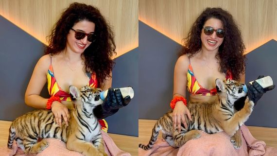 மடியில் புலிக்குட்டியை படுக்க வைத்து பால் ஊட்டும் பிக்பாஸ் கெமி.. ஆத்தாடி இம்புட்டு தைரியமா?