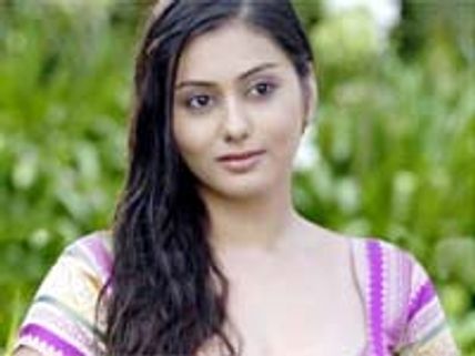 ఇక నమితకు పెళ్ళెందుకు?