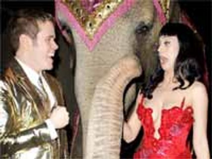 నిన్న గుడ్డలూడదీసింది..నేడు ఏనుగు ఎక్కింది..మరి రేపు..