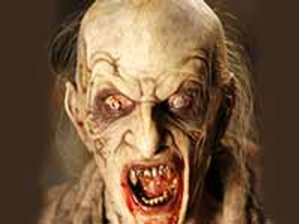 11-11-11 నెంబర్ కి అంత శక్తి వుందా...?