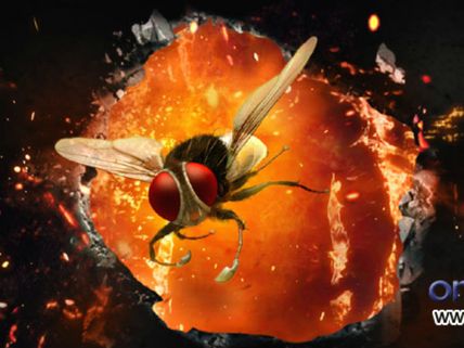 విజువల్ ట్రీటే కానీ...('ఈగ'రివ్యూ)