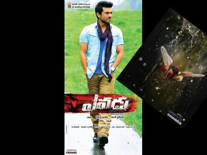 'ఎవడు' కథ కీ  రాజమౌళి 'ఈగ' కీ పోలిక??