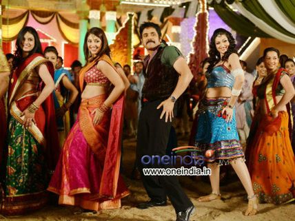నాగార్జున ‘భాయ్’ కథ ఇదేనా?