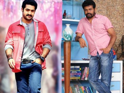 హాట్ టాపిక్ :సుకుమార్ కి ఎన్టీఆర్ షాక్ 