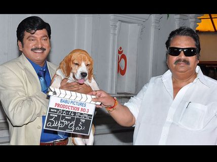 కుక్కతో గడిపేందుకు రాజేంద్రప్రసాద్‌కు రూ.14 లక్షలు