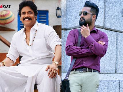 వావ్..: 'నాన్నకు ప్రేమతో' కలెక్షన్స్  ని సైతం నాగ్  
