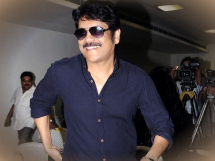   నాగార్జున కామెంట్స్‌ మీద ఎన్టీఆర్ ఫ్యాన్స్ ఆగ్రహం!