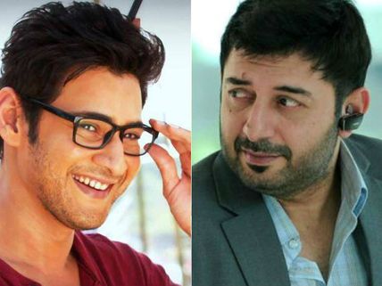 నిజమా? :అరవింద స్వామికి... మహేశ్ బాబు షాక్ ఇచ్చాడా..ఆ విషయంలో
