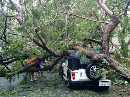 వర్ద బీభత్సం: సినీ స్టార్ల కష్టాలు, షూటింగుకు వెలుతుంటే కారుపై చెట్టు