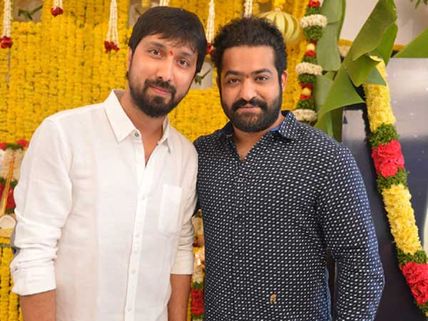 ఎన్టీఆర్, బాబి చిత్రం గురించిన ఈ విషయం ఇప్పుడు అంతటా సంచలనం