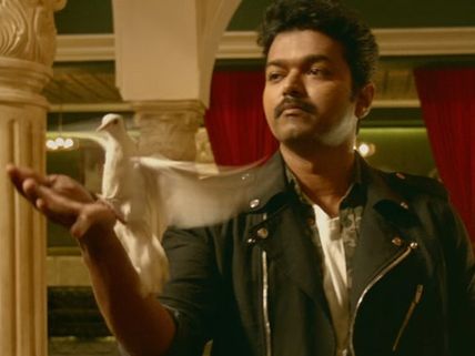 విజయ్‌కి పావురం దెబ్బ.. మెర్సల్ రిలీజ్ డౌటే..  సీఎంను కలిసినా ఫలితం లేదంట!