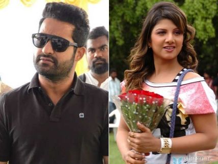 ఎన్టీఆర్ సినిమాతో రంభ రీ ఎంట్రి.. ఏ సినిమానో తెలుసా?