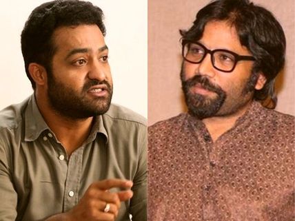 జూ.ఎన్టీఆర్‌తో హింస, ప్రేమ.. అర్జున్ రెడ్డి డైరెక్టర్ క్రేజీ ప్లానింగ్!