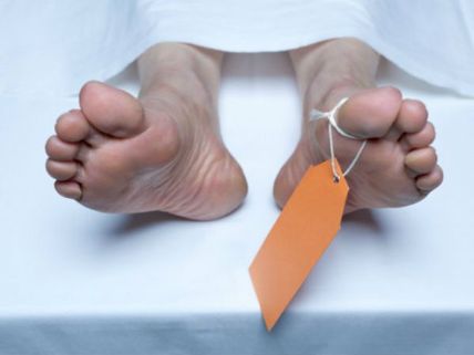 కుళ్లిపోయిన స్థితిలో....  నిన్నటి తరం స్టార్ హీరో దుర్మరణం!