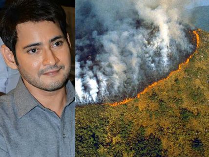  ఆ న్యూస్ విని డిస్ట్రబ్ అయిన మహేష్ బాబు... ఆవేదనతో ట్వీట్!