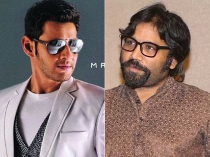  మహేష్ బాబు నో చెప్పిన కథను సందీప్ రెడ్డి వంగా ఇలా ప్లాన్ చేశాడా? 