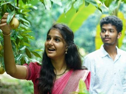 2 కోట్ల బడ్జెట్, 50 కోట్లు వసూళ్లు... టాలీవుడ్ నిర్మాతలను ఊరిస్తున్న సినిమా!