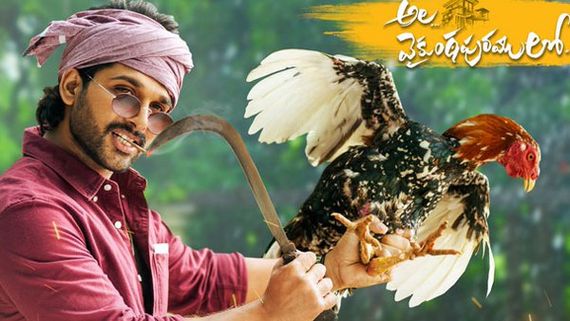'అల.. వైకుంఠపురములో' డే 4 కలెక్షన్స్: స్పీడు పెంచిన పందెం కోడి.. సంక్రాంతి అల్లుళ్లంతా అక్కడే! 