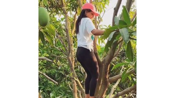 మామిడి తోటలో బిగ్‌బాస్ బ్యూటీ.. చెట్లు ఎక్కుతూ వితిక హల్చల్