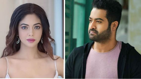 ఎన్టీఆర్ ఫ్యాన్స్ ఇక ఏ స్త్రీని బెదిరించలేరు.. మరో షాకింగ్ ట్వీట్ చేసిన మీరా చోప్రా!