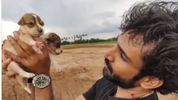 కుక్కపిల్లల రక్షణలో ఆది పినిశెట్టి ... వైరల్ వీడియో