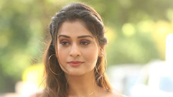 సీక్రెట్ విషయాలన్నీ అలా బయటపెట్టేసింది.. పాయల్ రాజ్‌పుత్ టార్గెట్ అదేనట!