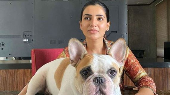 అయ్యో పాపం.. స్కిన్ ఎలర్జీ వచ్చిందట.. సలహాలు కోరుతున్న సమంత