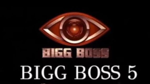 Bigg Boss 5 Telugu Contestants: హౌస్‌లో మరో జంట ఎంట్రీ: వరుణ్-వితిక తర్వాత వీళ్లే.. పెళ్లి కాకముందే రచ్చ!