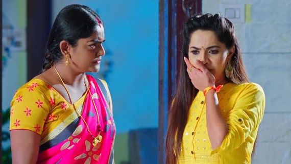 Karthika Deepam..మా ఆయన సాఫ్ట్‌వేర్... నేను హార్డ్‌వేర్.. మోనిత ముఖంపై డైలాగ్స్‌తో రఫాడించిన దీప
