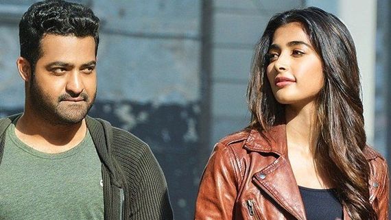ఎన్టీఆర్ ఫ్యాన్స్‌కు పూజా హెగ్డే మరో షాక్.. ఆ సినిమాకు ముఖం చాటేస్తూ.. 