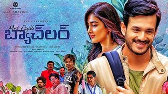  Most Eligible Bachelor Collections: మళ్లీ పెరిగిన బ్యాచ్‌లర్ వసూళ్లు.. 9రోజుల్లోనే అన్ని కోట్ల లాభం