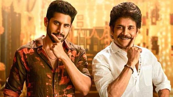 రిలీజ్‌కు ముందే రికార్డు కొట్టిన అక్కినేని హీరోలు: సంక్రాంతి హవా మొత్తం బంగార్రాజుదే