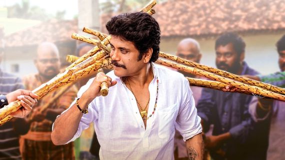 Bangarraju day 1 collections.. నాగార్జున కెరీర్‌లో హయ్యెస్ట్‌గా.. తొలి రోజు కలెక్షన్లు ఎంతంటే...