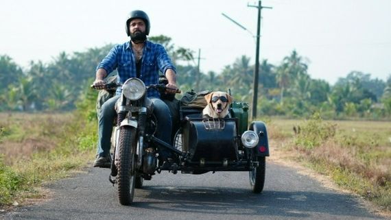 777 Charlie Review: మూగ జీవితో రక్షిత్ శెట్టి ప్రయాణం.. ఎలా ఉందంటే?