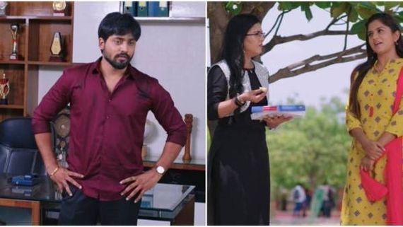  Guppedantha Manasu weekly roundup: రిషికి దిమ్మతిరిగే షాకిచ్చిన సాక్షి.. అందరి ముందూ అడకత్తెరలో పోకచెక్కను చే