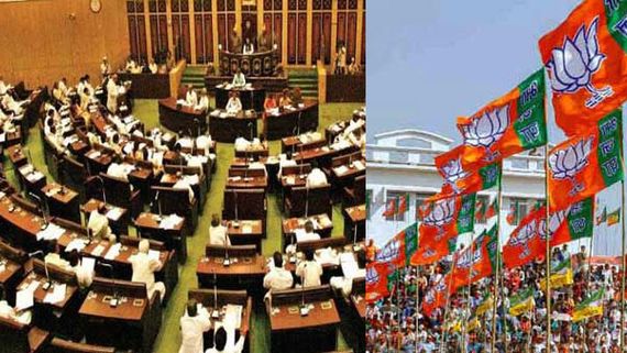 తెలంగాణ అసెంబ్లీ బరిలో సెన్సేషనల్ నిర్మాత.. బీజేపీ నుంచి గ్రేటర్ హైదరాబాద్‌లో పోటికి సిద్దం.. ఎక్కడ నుంచి అంటే