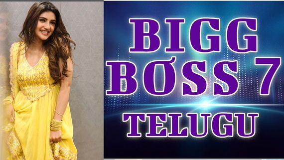 Bigg Boss Telugu 7: బిగ్ బాస్ స్టేజీపై భగవంత్ కేసరి టీం.. ఆ కంటెస్టెంట్ ను చూసి సిగ్గుపడిన శ్రీలీల