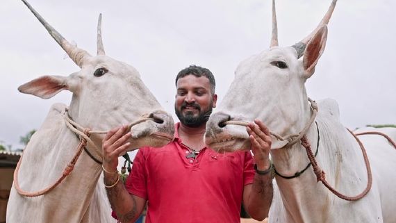 బిగ్‌బాస్ కంటెస్టెంట్ అరెస్ట్.. హౌస్ నుంచే కస్టడీకి తరలింపు!
