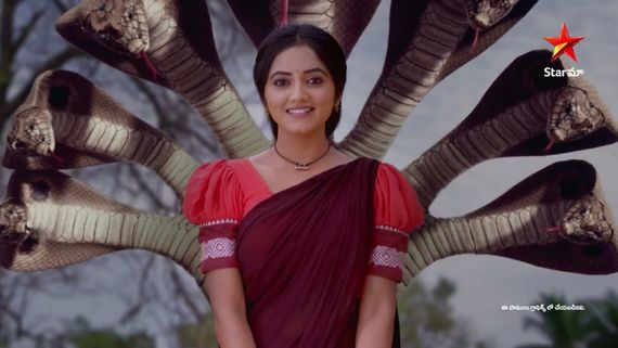 Naga Panchami: ఇంటి నుంచి వెళ్లిపోయిన సుబ్బు.. దుఃఖంలో పంచమి, ఏం జరగబోతుంది?