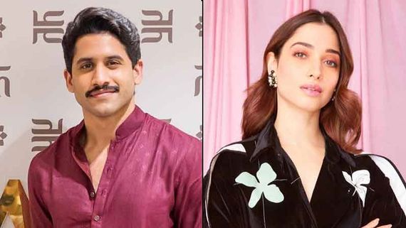 Naga Chaitanya: నాగచైతన్యపై తమన్నా ప్రాంక్.. అదిరిపోయే ట్విస్ట్ ఇచ్చిన హీరో.. అసలేం జరిగిందంటే?